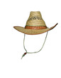 stetson
