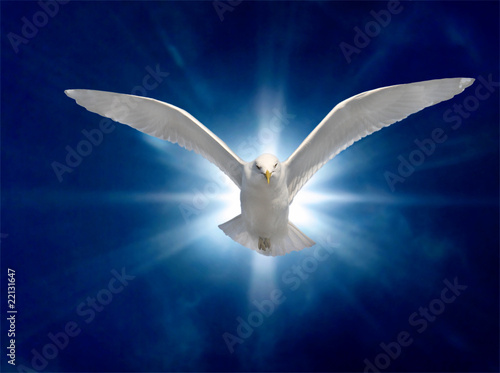 Photo: Holy Spirit 2 Holy Spirit 2