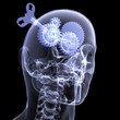 Skeleton X-Ray - Windup Gear Head