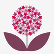 flower vector illustration