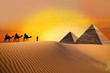 Photo : Pyramid, camel and sunset Pyramid, camel and sunset