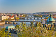 View on Prague Bridges at sunset
