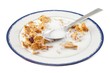 cereal with milk