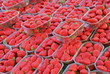 Barquettes de fraises