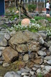 Blumeninsel Mainau, Land Baden-Württemberg, Deutschland.