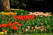 Blumeninsel Mainau, Land Baden-Württemberg, Deutschland.