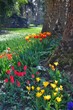 Blumeninsel Mainau, Land Baden-Württemberg, Deutschland.