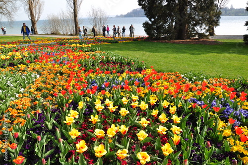 Photo: Blumeninsel Mainau, Land Baden-Württemberg, Deutschland. Blumeninsel Mainau, Land Baden-Württemberg, Deutschland.