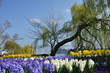 Blumeninsel Mainau, Land Baden-Württemberg, Deutschland.