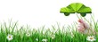 Ecologie.