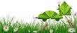 Ecologie.