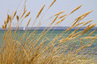 Am Strand