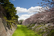 Spring Moat 02