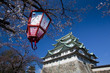 Nagoya Castle 03