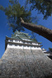 Nagoya Castle 06