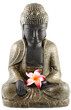 bouddha assis, fleur rose frangipanier, fond blanc