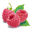 Himbeeren