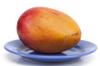mangue