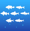 vector silhouettes fish