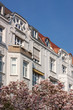 Altbau im Jugendstil in Hamburg-Harvestehude mit Magnolien Altbau im Jugendstil in Hamburg-Harvestehude mit Magnolien