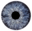 eye2