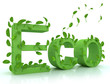 Green word ECO with leaves