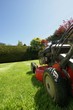 lawn care