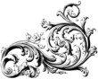 Vector: Floral Scroll Floral Scroll