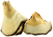 copeaux bouleau décoration, fond blanc copeaux bouleau décoration, fond blanc