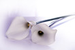 Weisse Callas