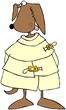 Crazy Dog In A Straitjacket