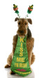 st patricks day dog