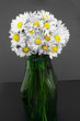 Daisy flowers bouquet in a vase