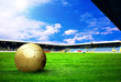 Happiness football player after goal on the field of stadium wit Happiness football player after goal on the field of stadium wit