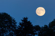 Vollmond