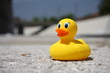 rubber ducky in the los angeles river 3