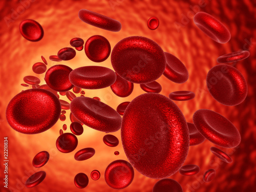 Illustration: Red Blood Cell Red Blood Cell