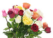 Bouquet of roses Bouquet of roses