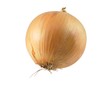 onion