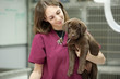 cute brown lab puppy at the vet's