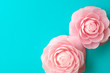 camellia