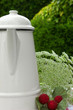 enamel coffee tea pot at summer picnic
