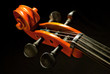 kopf eines violoncelli kopf eines violoncelli