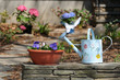Watering Can, Flower Pot, Stone Wall