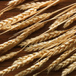 Wheat spikes on wooden board
