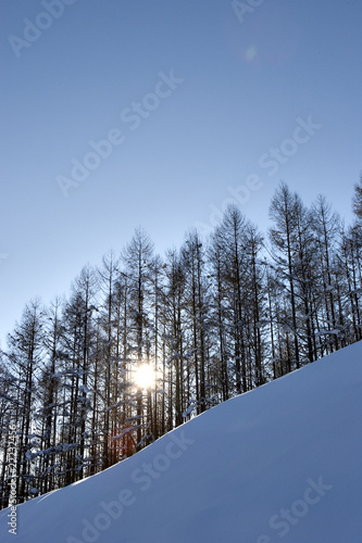 Foto: 林 林