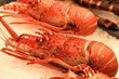 Crustacés