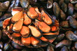 Moules