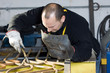 forging iron