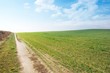 Field
